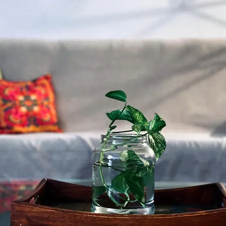 Lima Sol House * Limassol