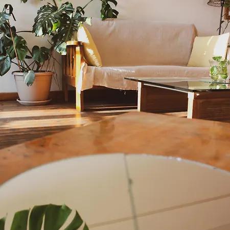 Lima Sol House بيت شباب ليماسول