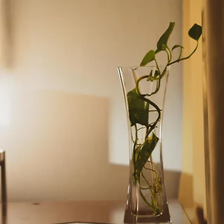 호스텔 Lima Sol House *
