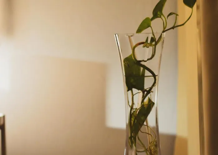 Auberge de jeunesse Lima Sol House *